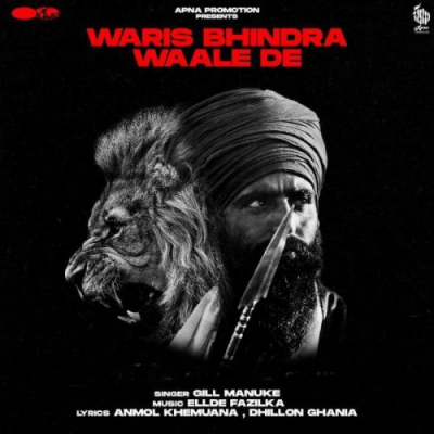 Waris Bhindra Waale De