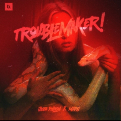 Trouble Maker